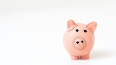 pink pig figurine on white surface